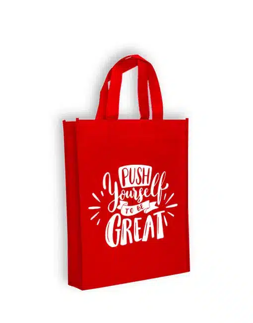 NB 111 Non Woven Bag